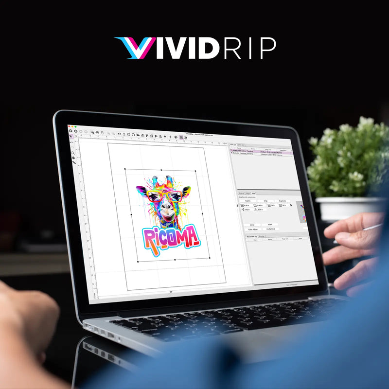 VividRIP Software
