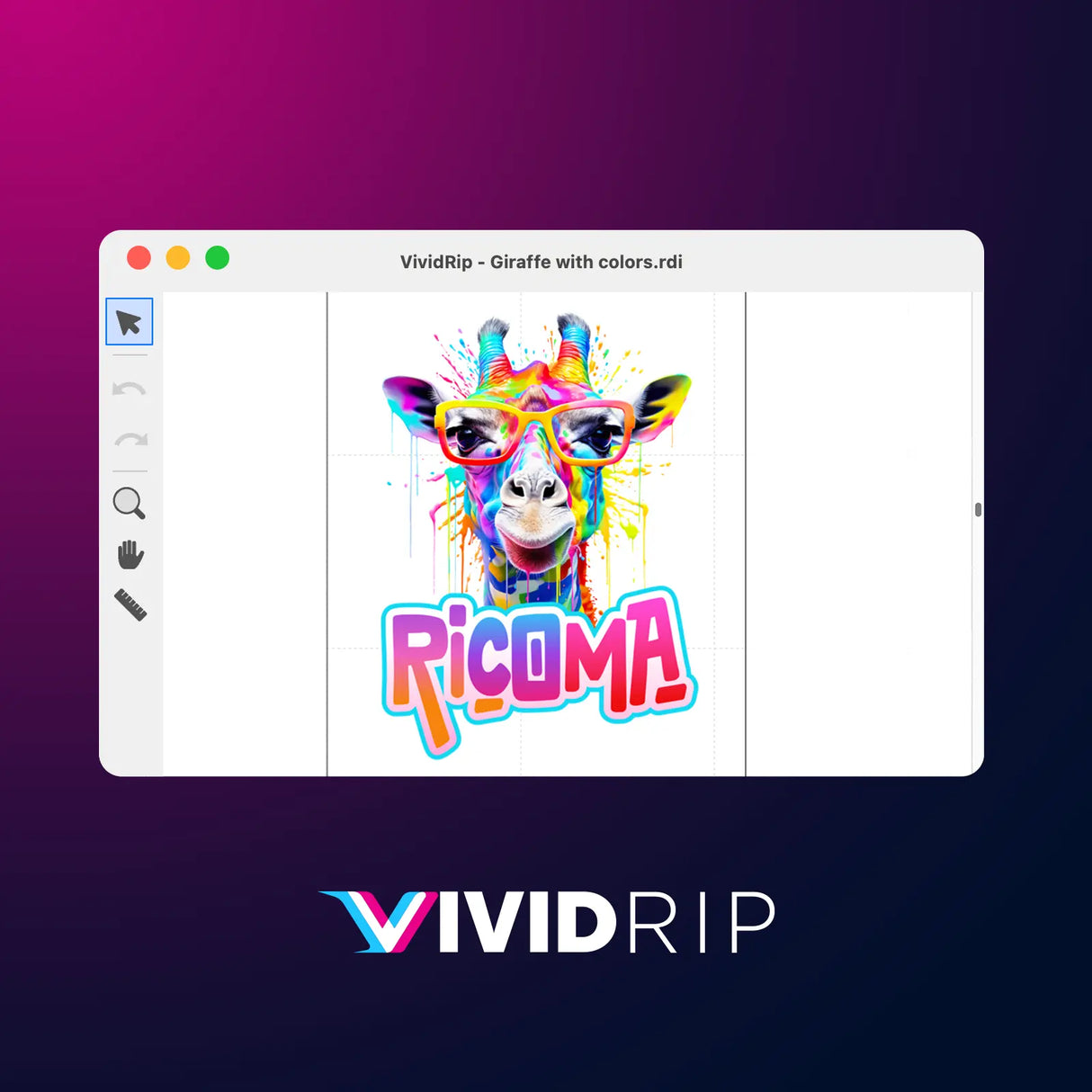 VividRIP Software